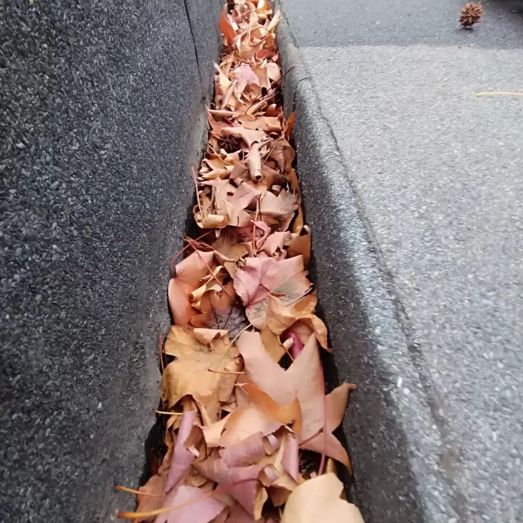 limpieza de canaletas