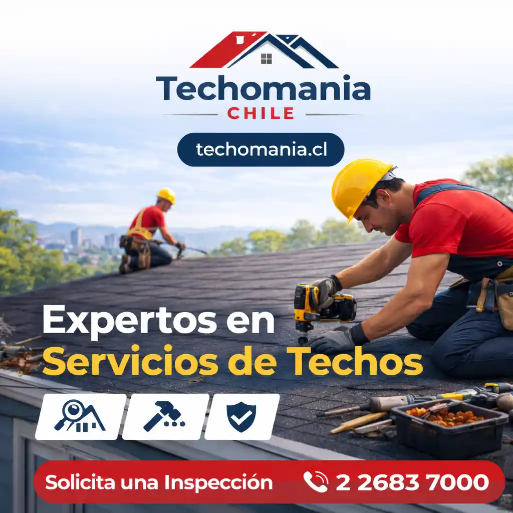 Cómo identificar daños en el techo y qué buscar